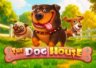 TIMEZONE168 ทางเข้าล่าสุด The Dog House ทดลองเล่นฟรี